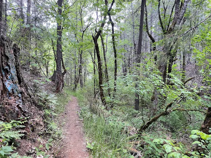 Harr Point Campground Picture 9