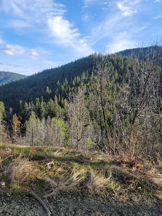 Hutton Campground Picture 7