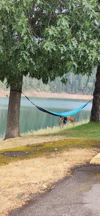 Applegate Lake Picture 9