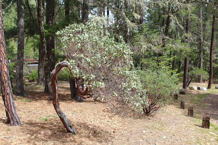 Watkins Campground Picture 4