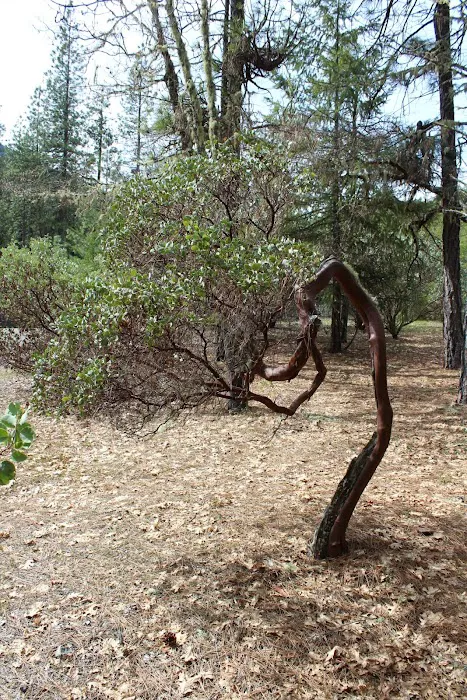 Watkins Campground Picture 3