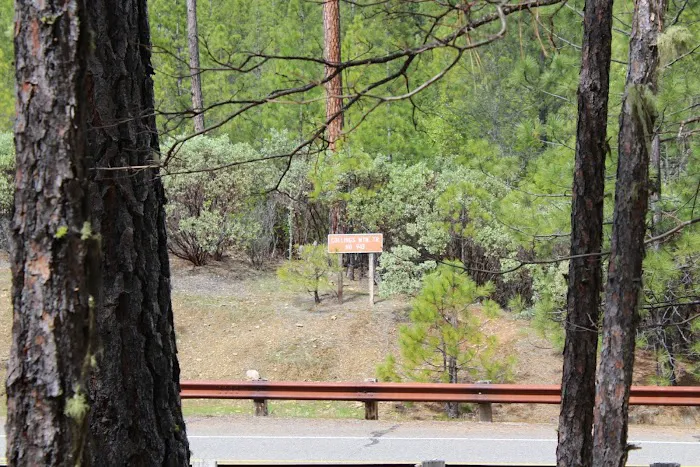 Watkins Campground Picture 5