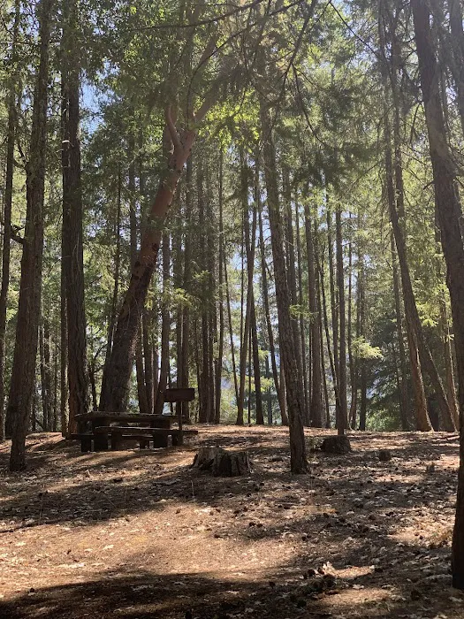 Watkins Campground Picture 6