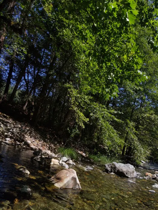 Carberry Creek Campground Picture 1