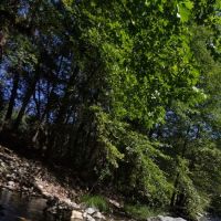 Carberry Creek Campground ico