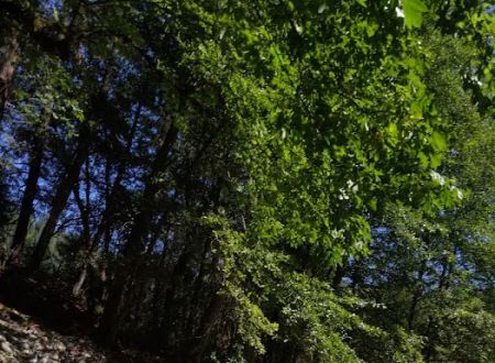 Carberry Creek Campground