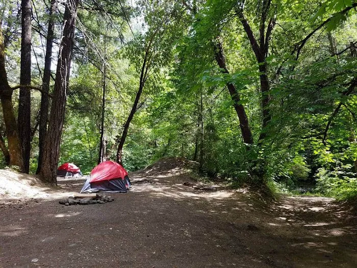Carberry Creek Campground Picture 8