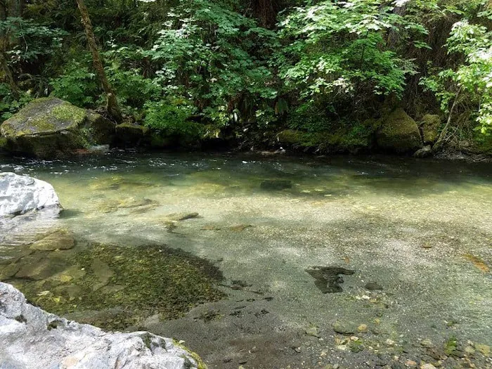 Carberry Creek Campground Picture 6