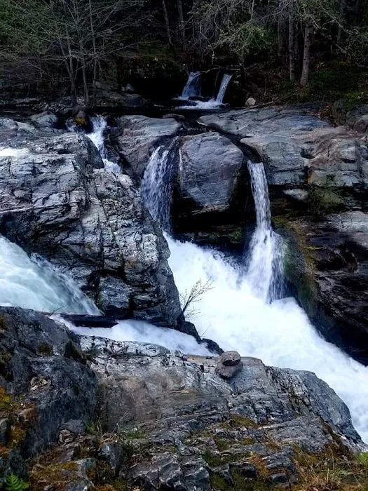 Carberry Creek Campground Picture 9