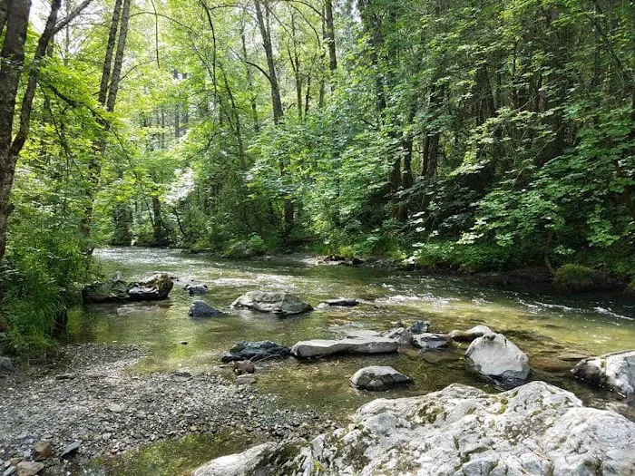 Carberry Creek Campground Picture 10