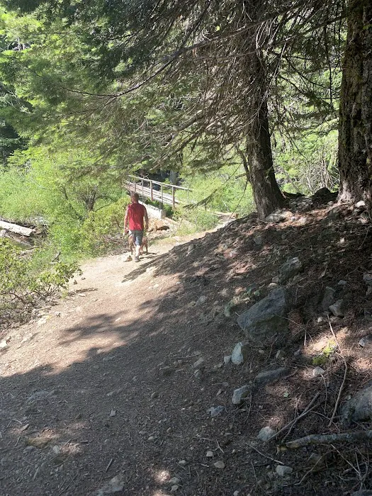 Bolan Lake Campground Picture 3