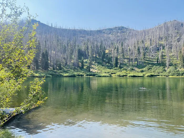 Bolan Lake Campground Picture 8