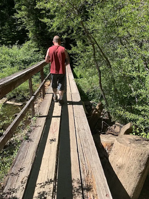 Bolan Lake Campground Picture 5
