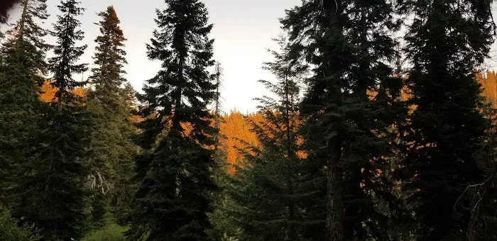 Bolan Lake Campground Picture 9