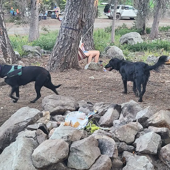 Bolan Lake Campground Picture 10