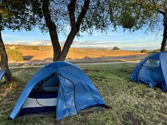 Private Vineyard and Mountain Views Campsites Picture 5