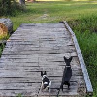 Clear Springs Campground ico