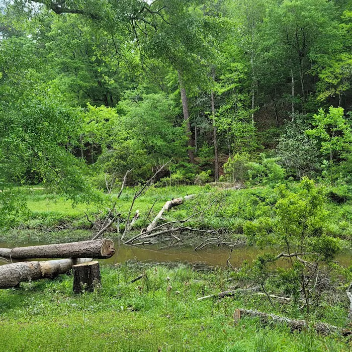 Clear Springs Campground Picture 2
