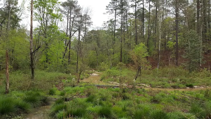 Clear Springs Campground Picture 4