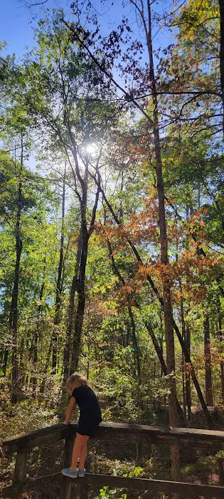 Clear Springs Campground Picture 6