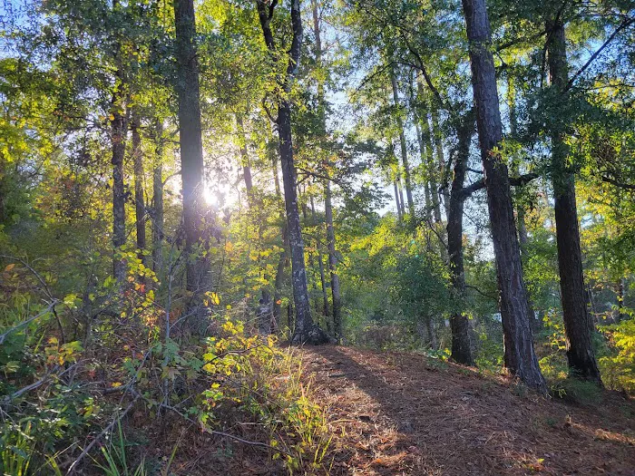 Clear Springs Campground Picture 7