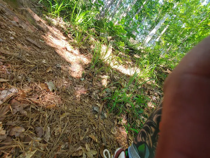 Clear Springs Campground Picture 9
