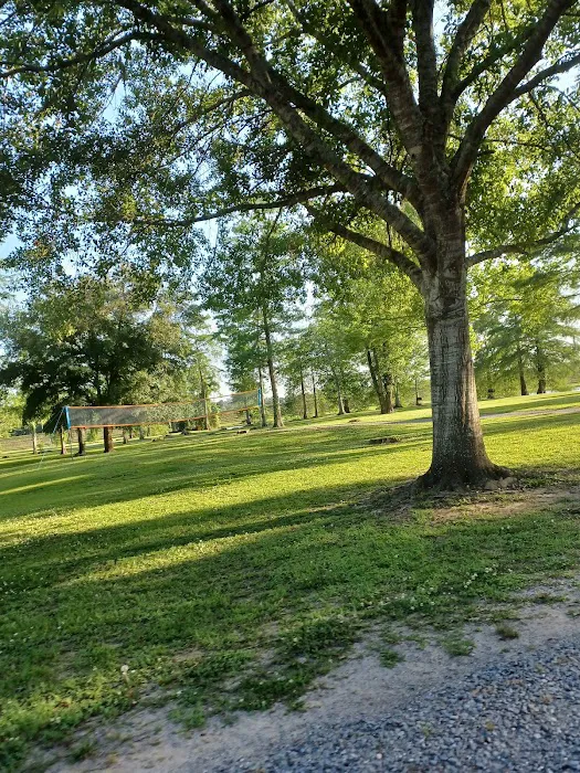 Riverview RV Resort Picture 3