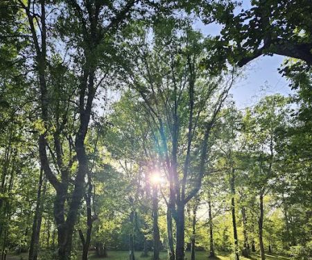 WMA Tent Campground