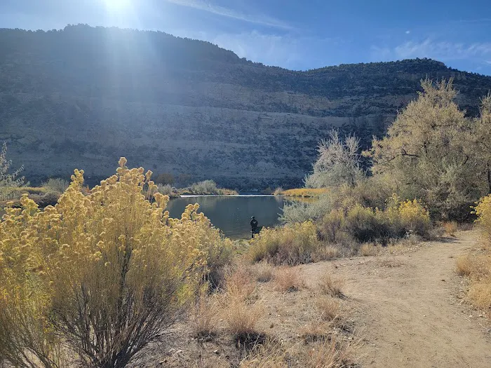 Cottonwood CampGround - Navajo Lake State Park Picture 6