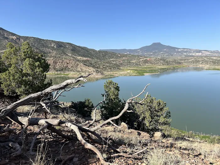 Riana Campground - Abiquiu Dam Picture 7