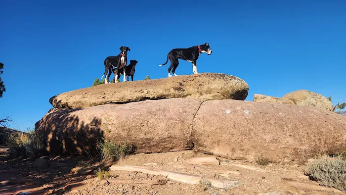 Abiquiu Lake Camp Ground Picture 3