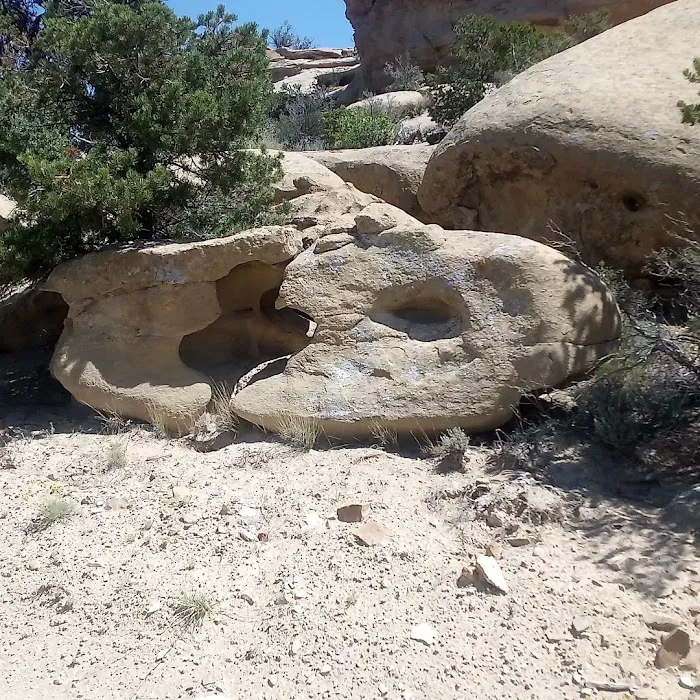 Abiquiu Lake Camp Ground Picture 10