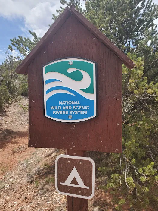 Whirlpool, Dispersed Camping, Coyote Ranger District, Santa Fe National Forest Picture 4