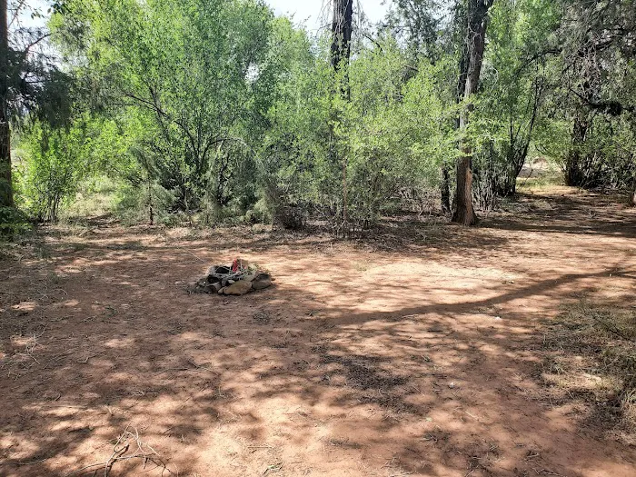 Whirlpool, Dispersed Camping, Coyote Ranger District, Santa Fe National Forest Picture 8