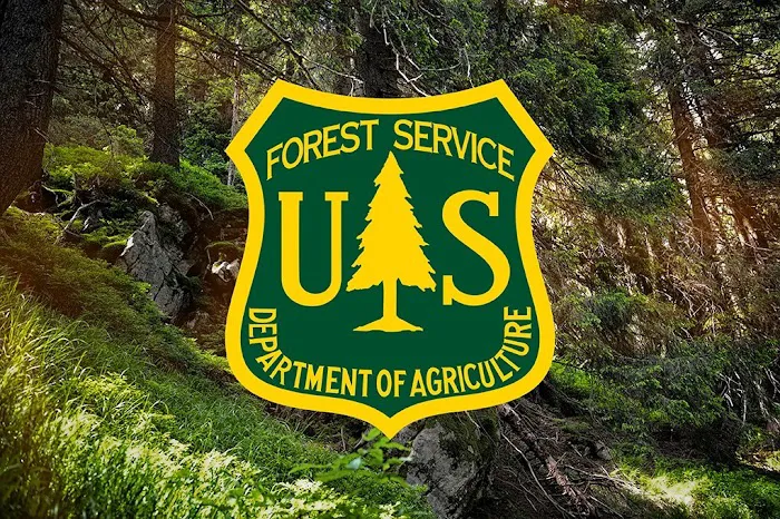 Oak Point, Dispersed Camping, Coyote Ranger District, Santa Fe National Forest, USDA Picture 10