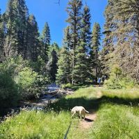 Santa Barbara Campground ico