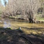 Trampas Medio Campground