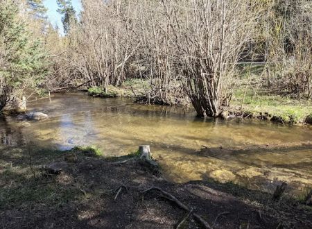 Trampas Medio Campground