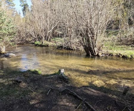 Trampas Medio Campground