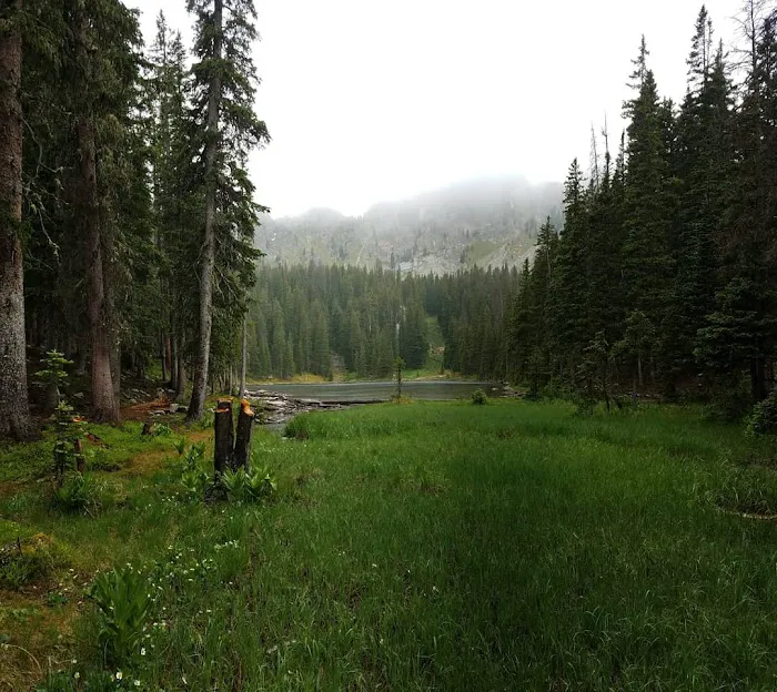 Trampas Trailhead Campground Picture 9