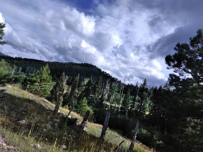 Trampas Trailhead Campground Picture 3