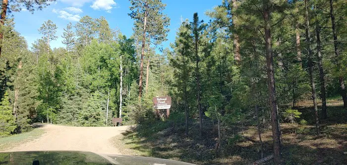 Borrego Mesa Campground Picture 4