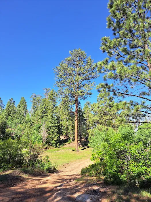 Borrego Mesa Campground Picture 7