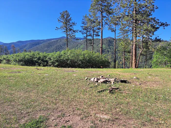 Borrego Mesa Campground Picture 9
