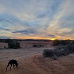 Mountain View Campground LLC