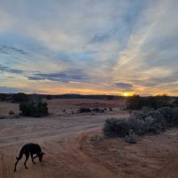 Mountain View Campground LLC ico