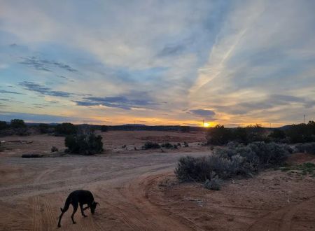 Mountain View Campground LLC