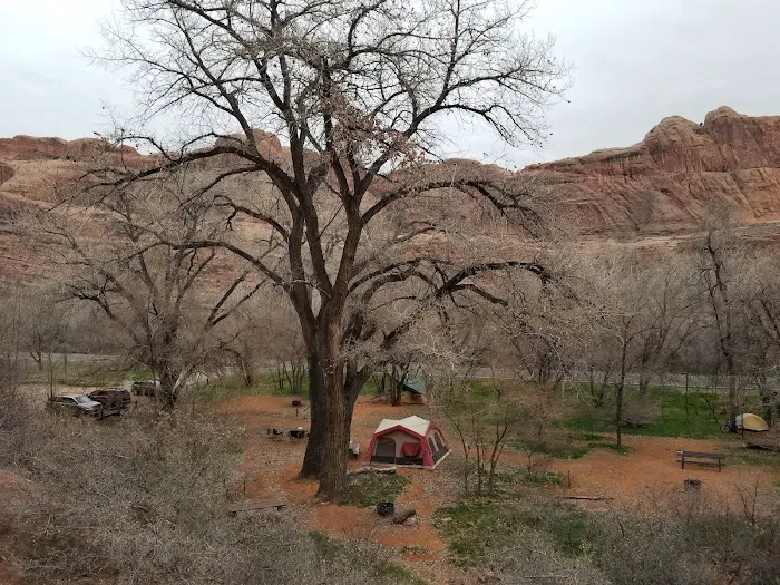 Jaycee Park Campground Picture 8