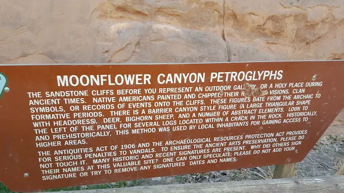 Moonflower Canyon Picture 4