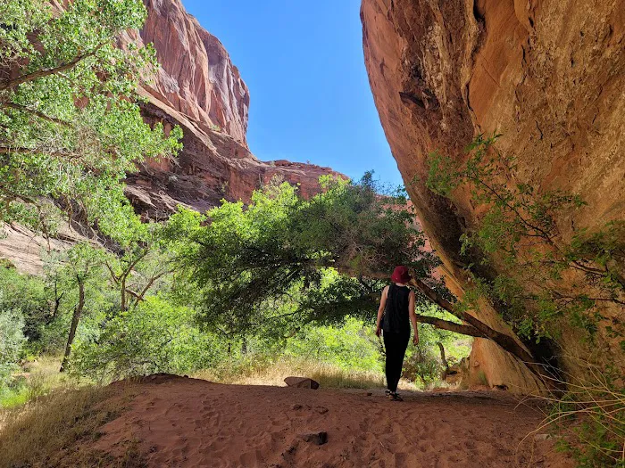 Moonflower Canyon Picture 1